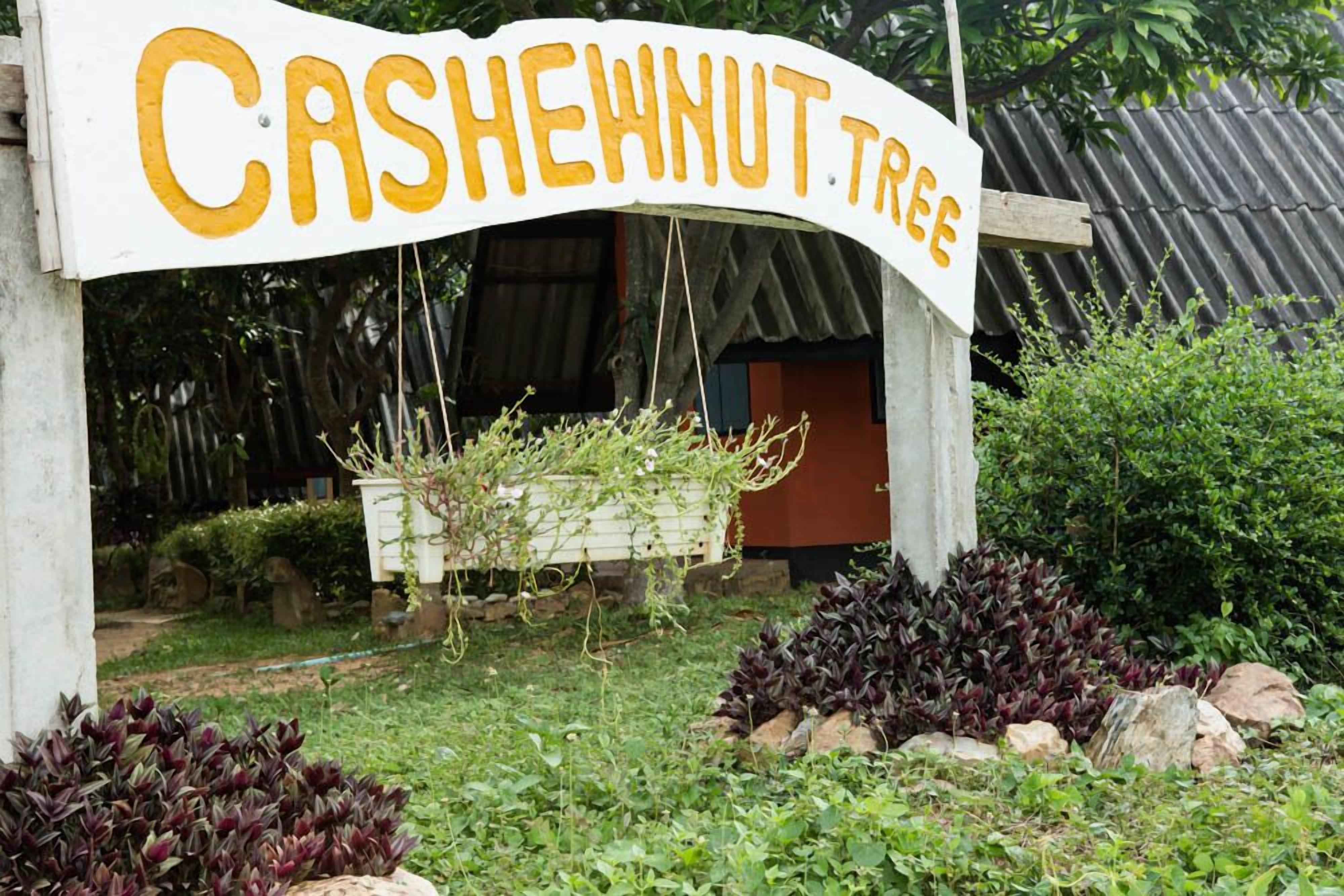 A sign reading "CASHEHNT TREE" with a hanging planter and surrounding greenery.