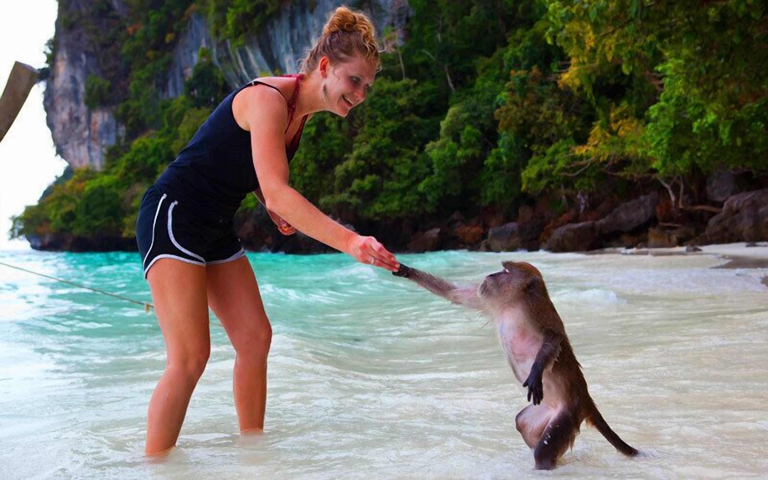A person in a swimsuit interacting with a sea otter on a beach with clear turquoise water and lush greenery in the background.