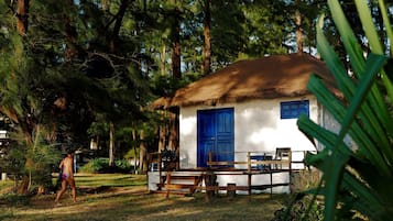 Villa (Beachfront Room Villa)