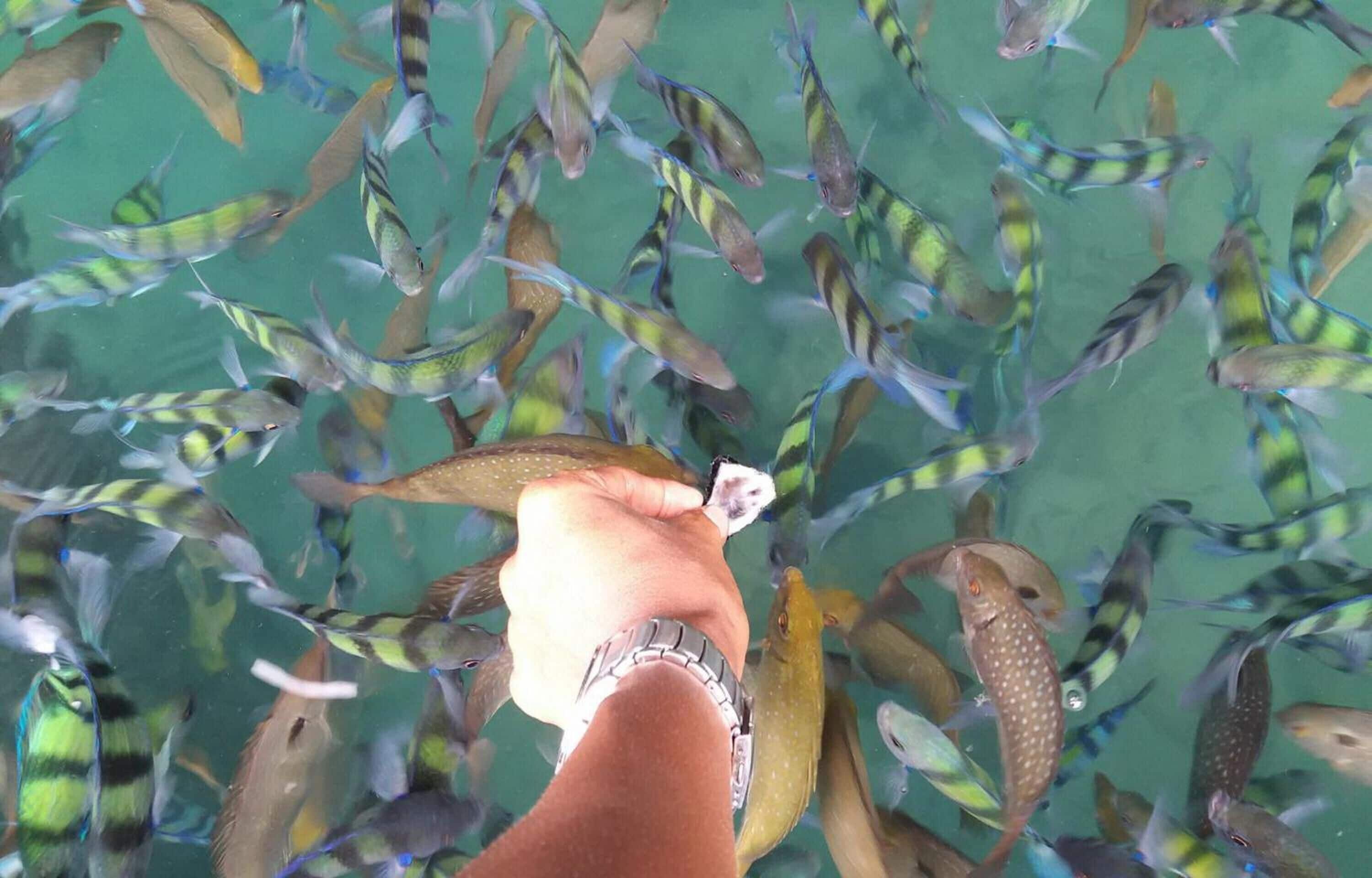 Foto - Lanta Sunny House