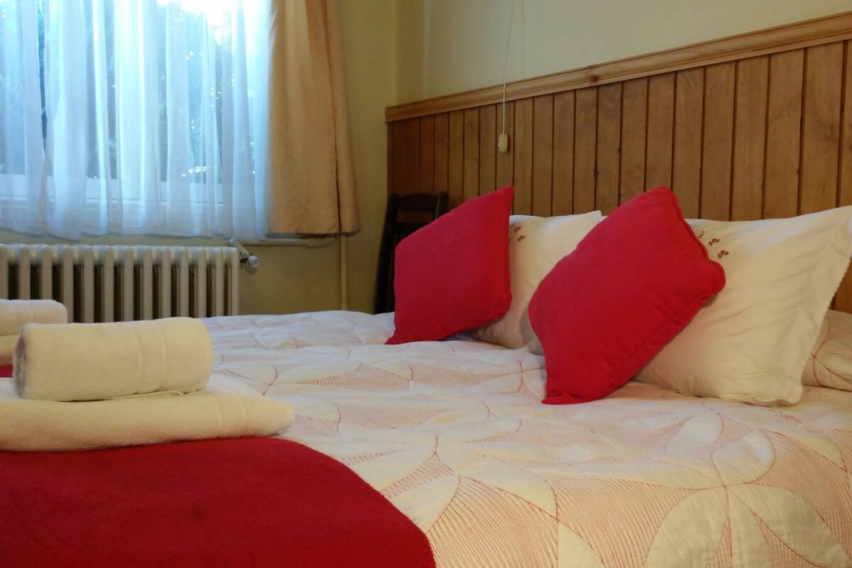 Habitación doble, baño en la habitación | Edredón, wifi gratis y ropa de cama