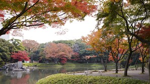 Ein friedlicher Park mit einem Teich, Bänken und Bäumen in Herbstfarben.
