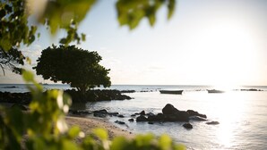 Una playa con un árbol grande, agua tranquila y rocas.