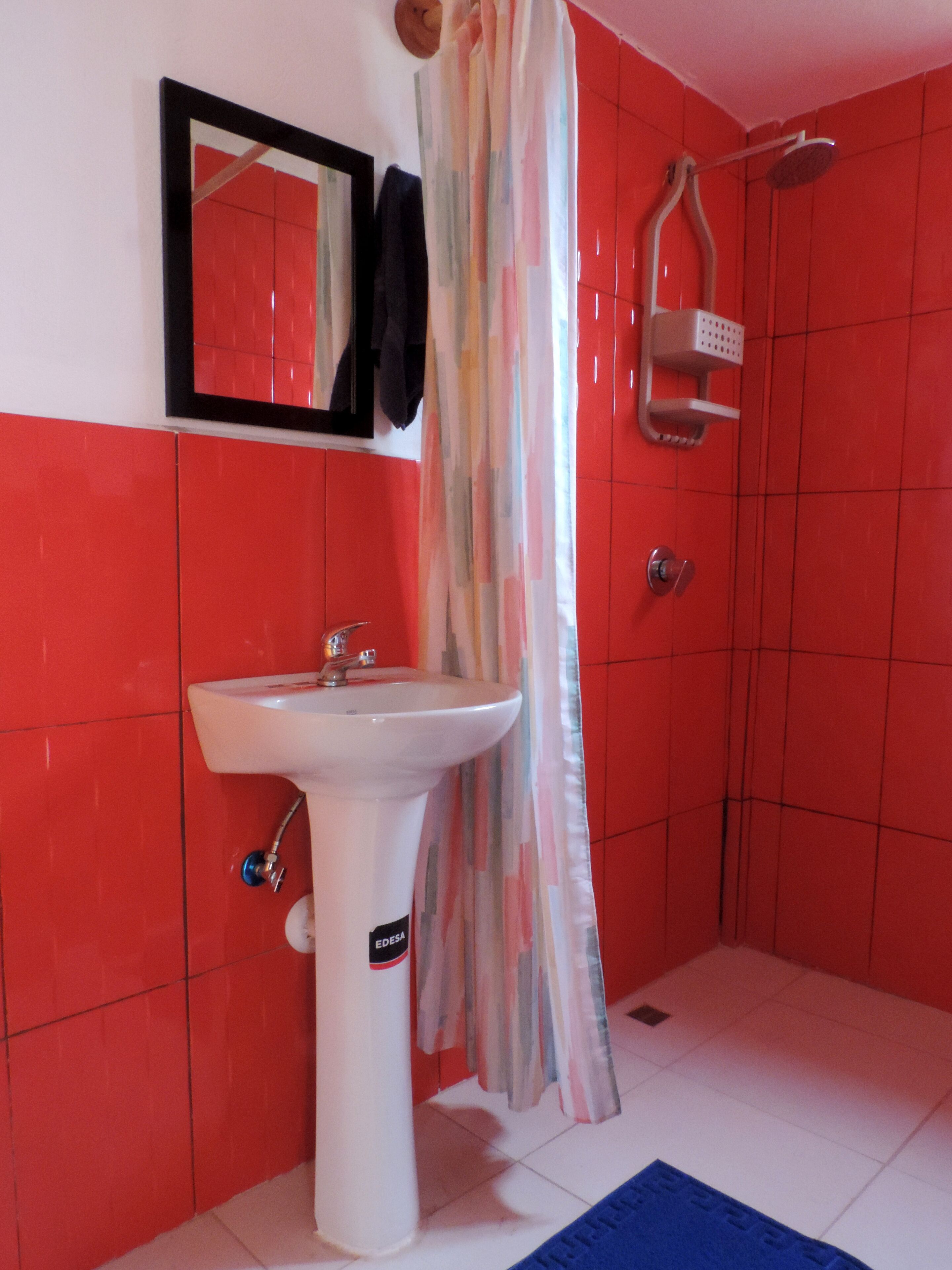 A bathroom with a white sink, a shower with a handheld showerhead, and a mirror on the wall.