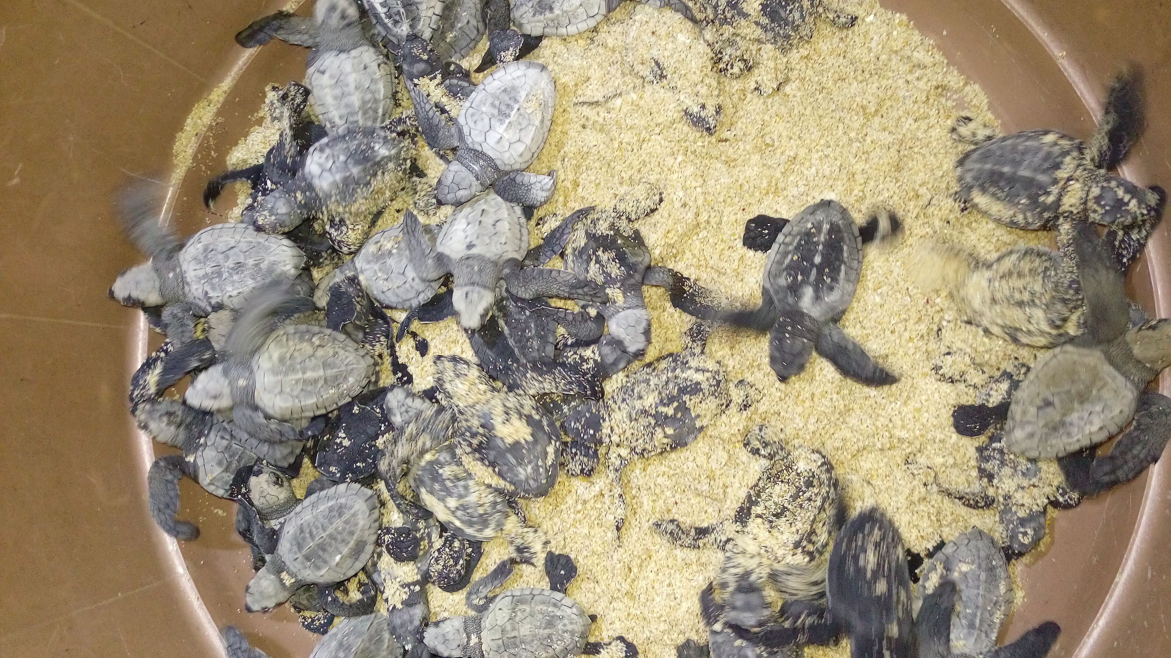 on the beach, white sand, beach yoga