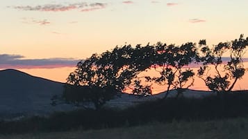 A landscape with trees silhouetted against a sunset sky.