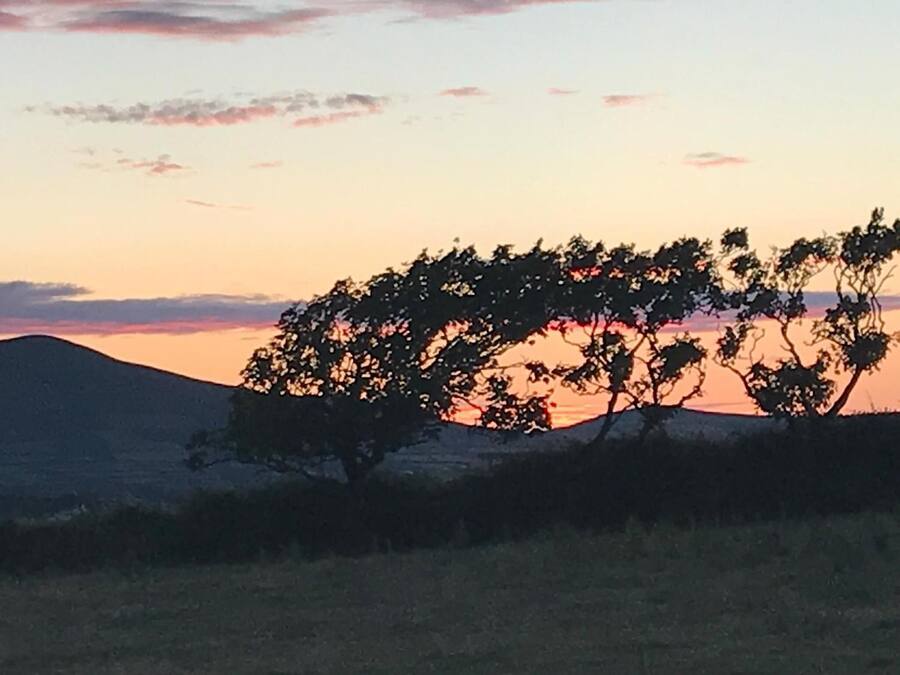 A landscape with trees silhouetted against a sunset sky.