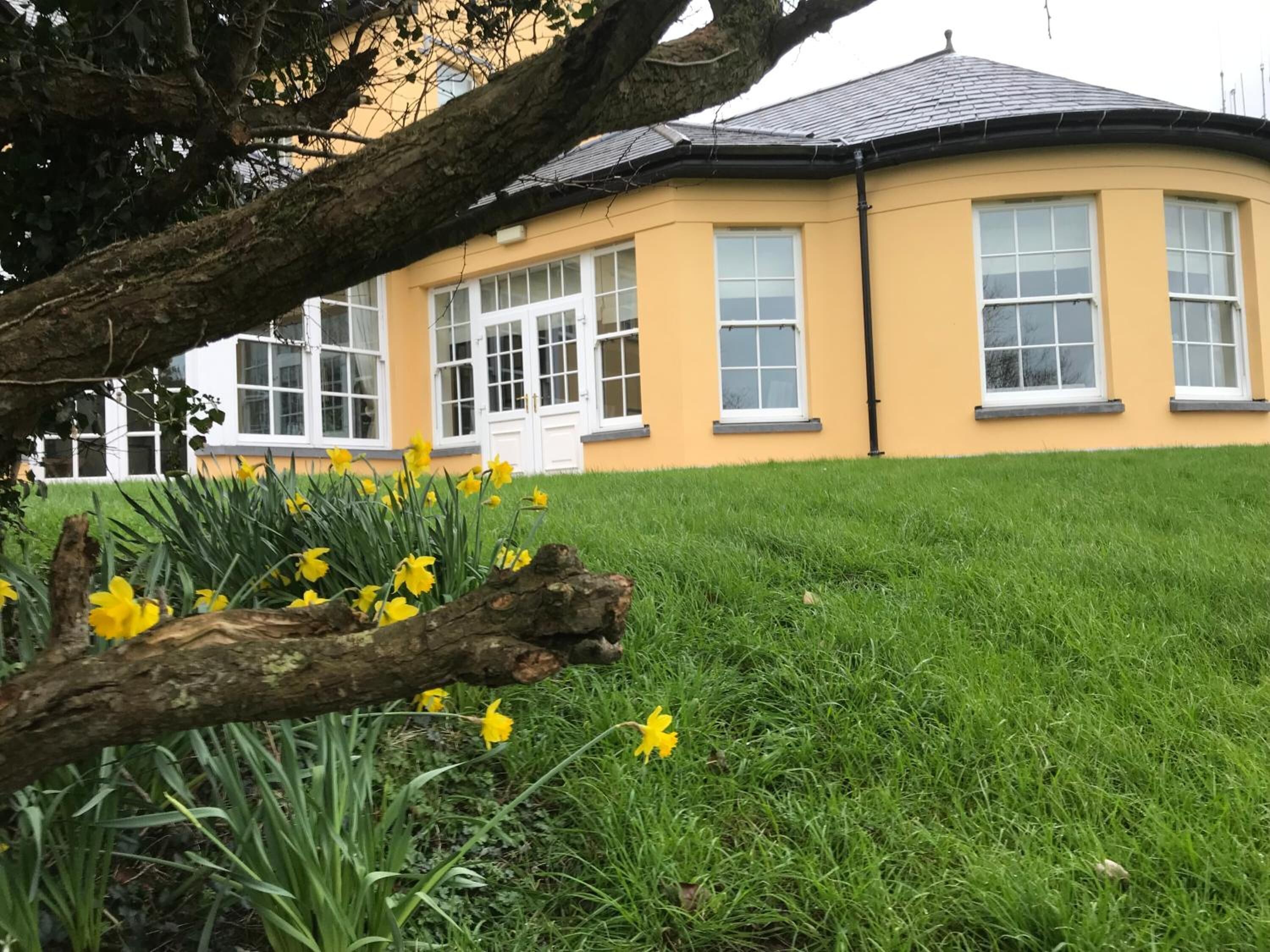 Un bâtiment jaune avec des fenêtres blanches et une porte, entouré de pelouse verte et de jonquilles.