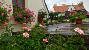 Un jardín con rosas rosadas y follaje verde.