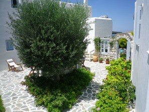 A courtyard with a large tree, potted plants, and a stone floor.