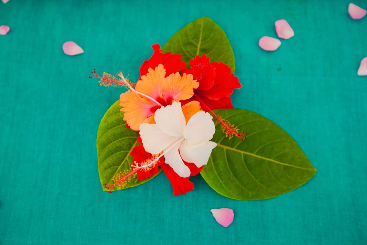 1 yatak odası, odada kasa, masa, ücretsiz kablosuz İnternet