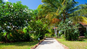 A pathway leading through a lush garden with palm trees and various shrubs. - Flame Tree Cottages (Nungwi)