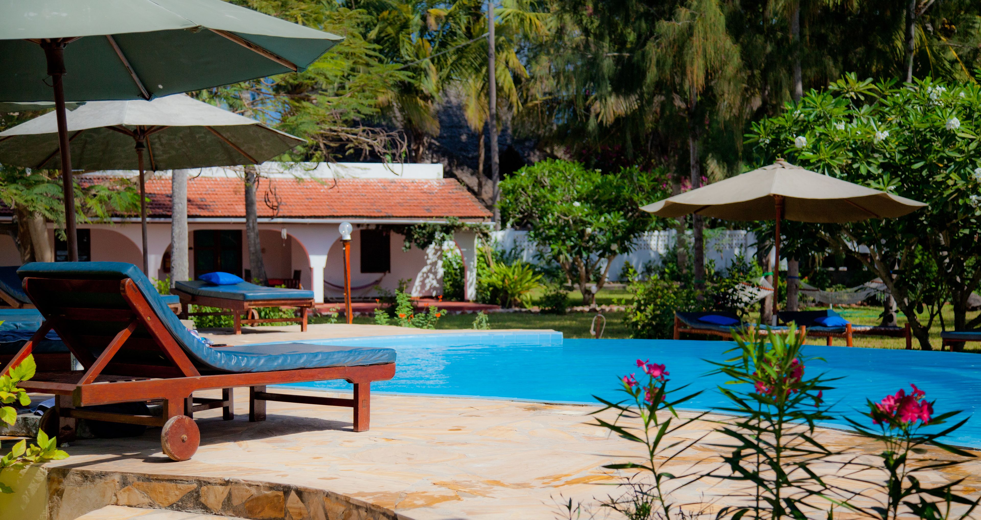 outdoor pool, pool umbrellas, pool loungers