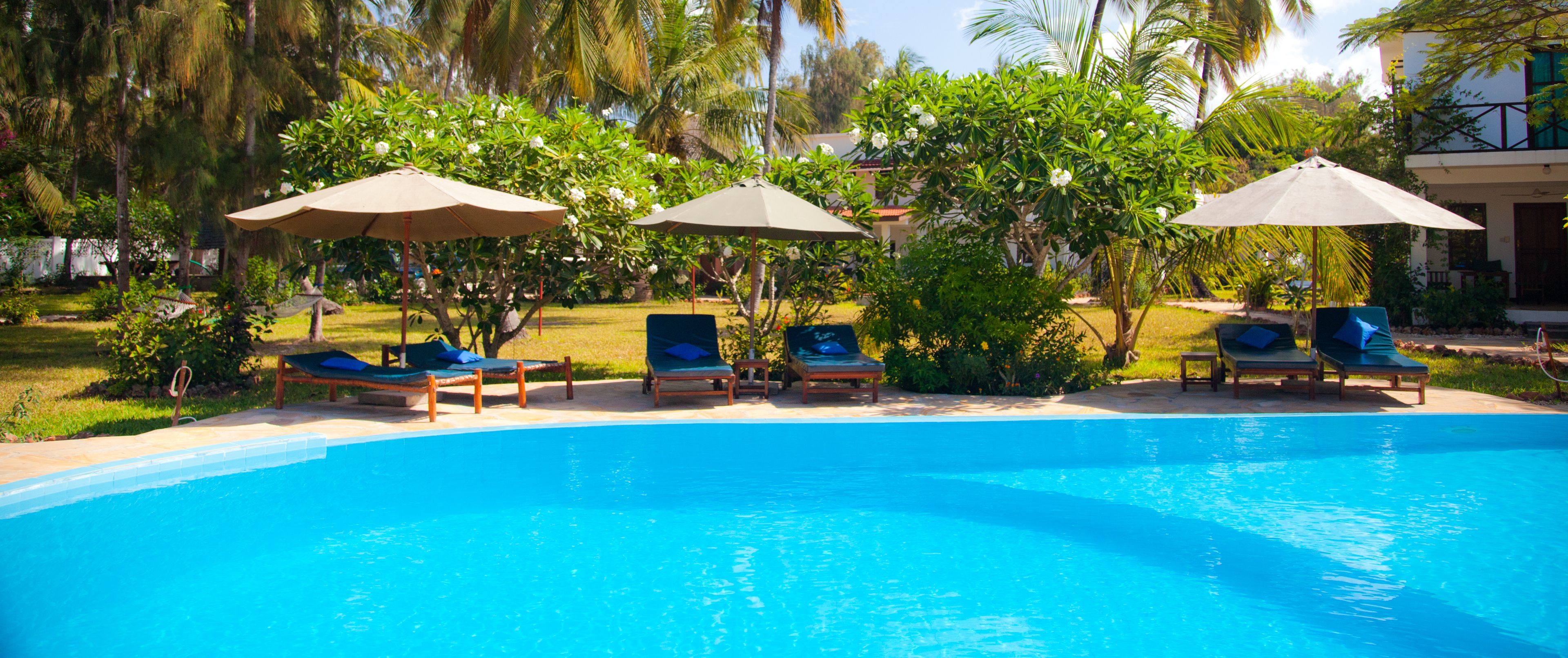 outdoor pool, pool umbrellas, pool loungers