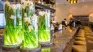 Bar (on property) - KADORR Hotel Resort & Spa (Odesa)