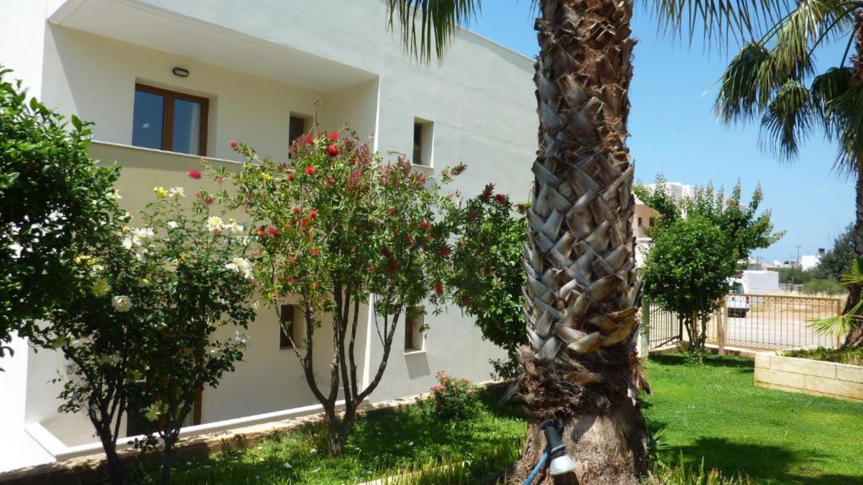 A modern building with a white facade, a balcony, and a well-maintained garden with palm trees and flowering plants.