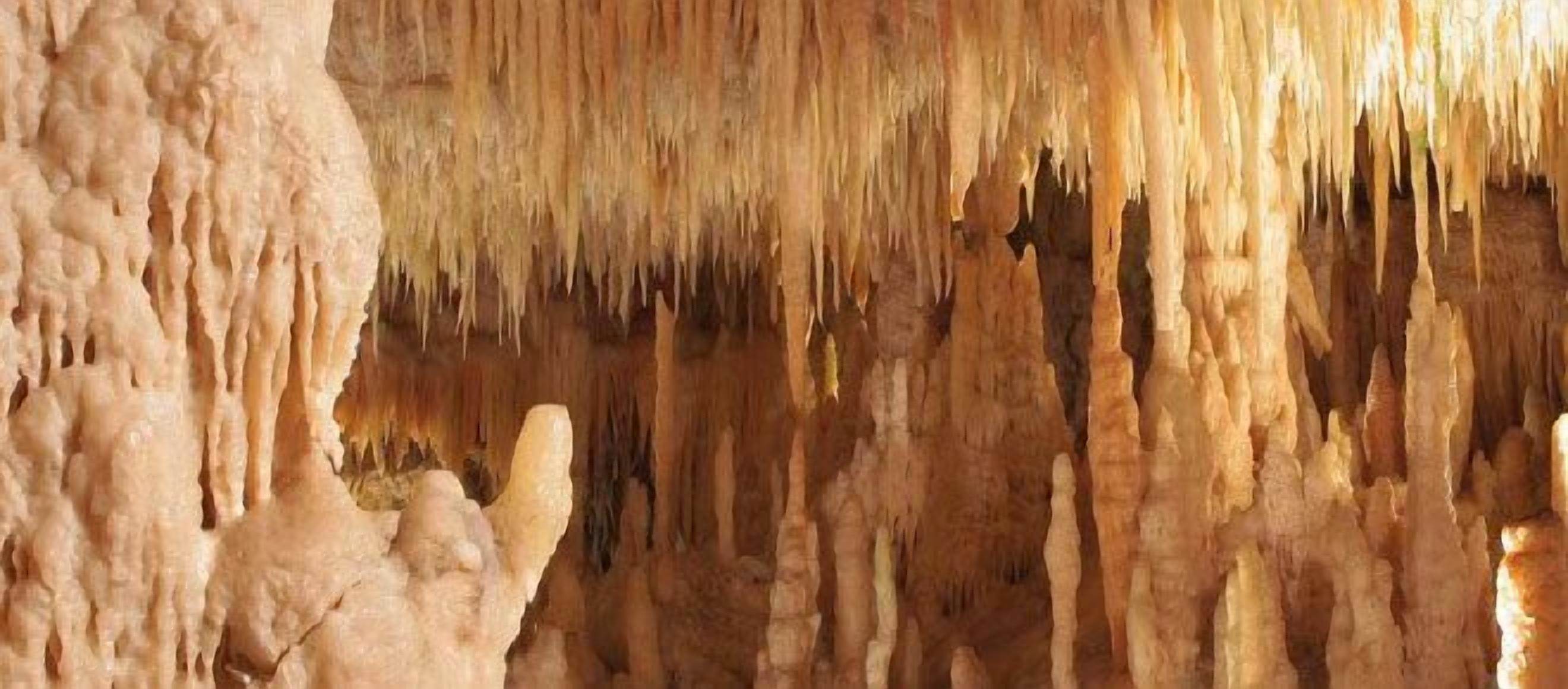 Foto - Apulia 70 Holidays - Suites & Experiences