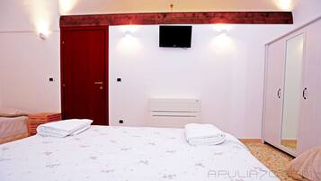 A bedroom with a bed, a wardrobe, a television, and a heater.