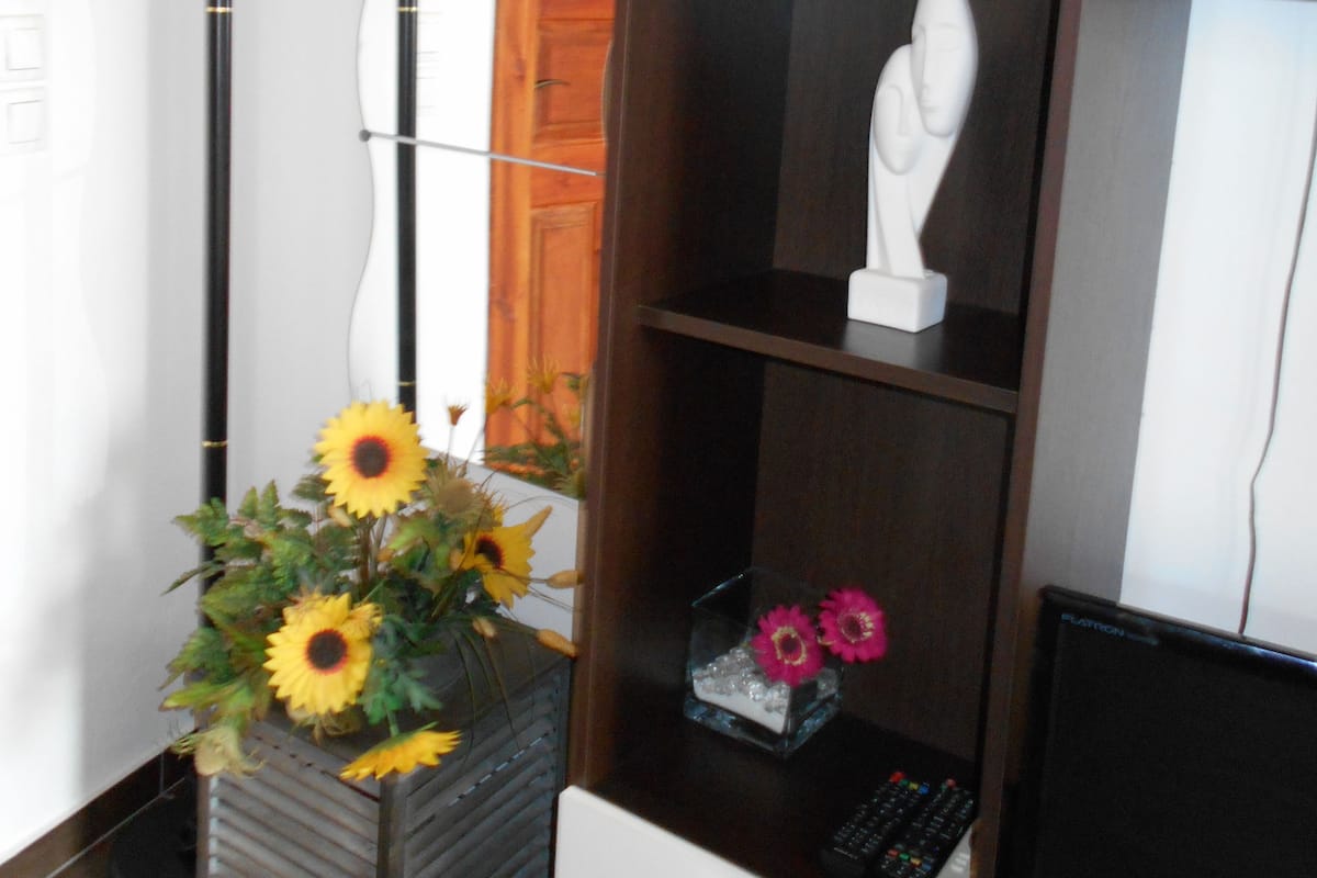 A room with a desk, a potted plant, a statue, and a television.