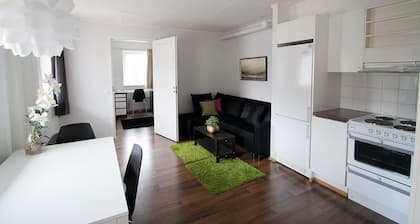 Hostel Hullu Poro