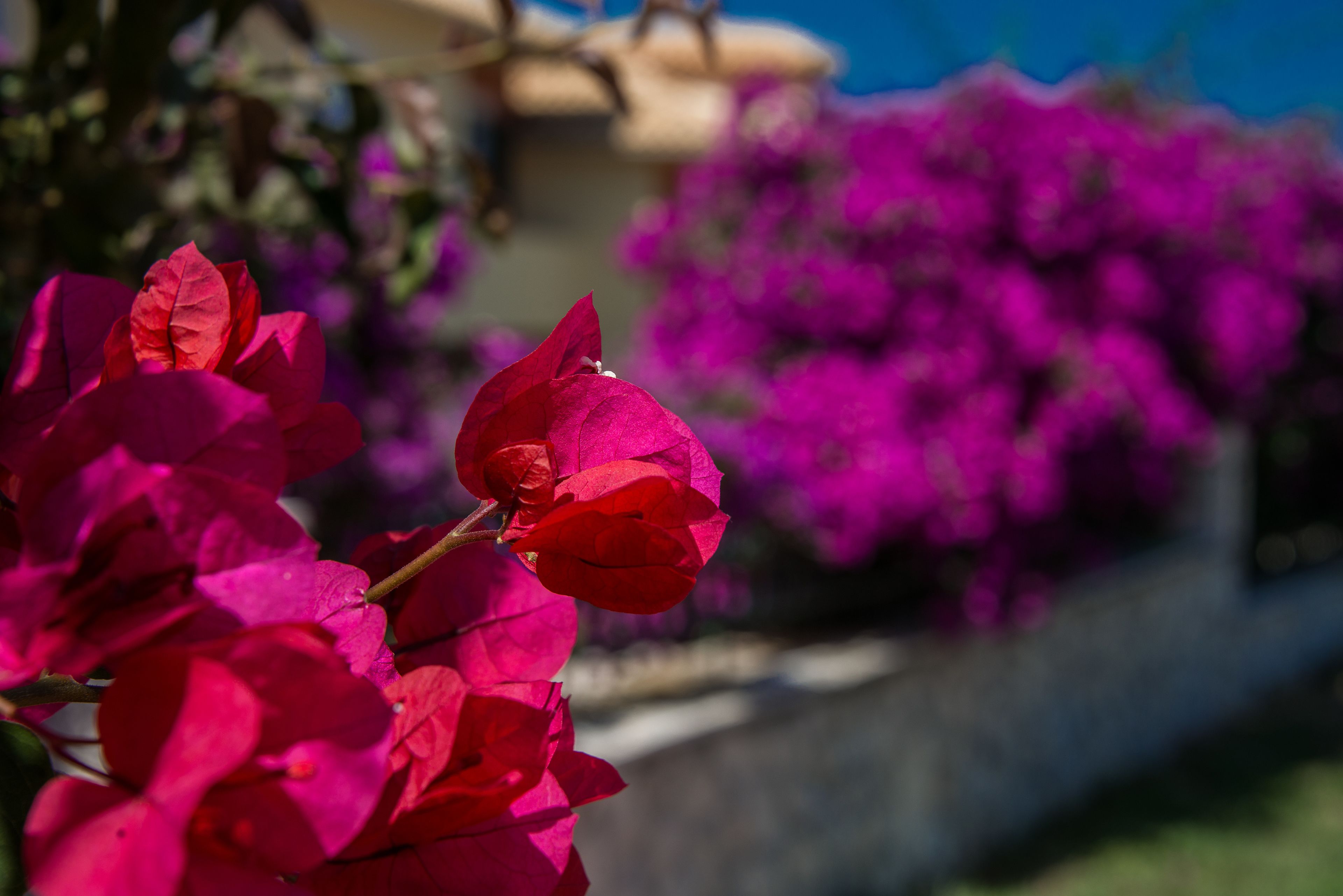 Photo - Keri Village & Spa by Zante Plaza (Adults Only)