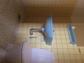 Douche, séchoir à cheveux, serviettes fournies