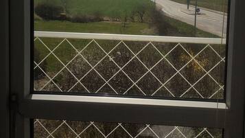 Family Room, Private Bathroom | Individually decorated, individually furnished, iron/ironing board