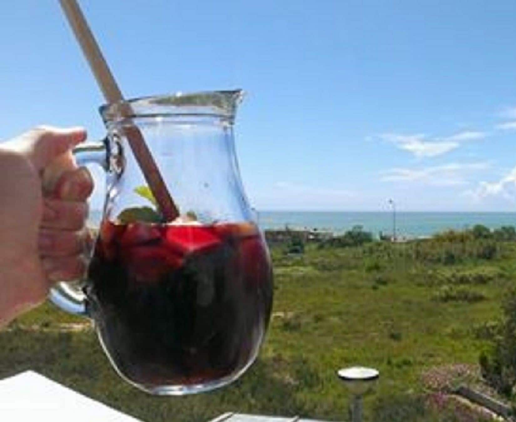 A hand holding a glass pitcher with a straw, filled with a dark liquid, possibly wine, with a view of a grassy area and a body of water in the background.
