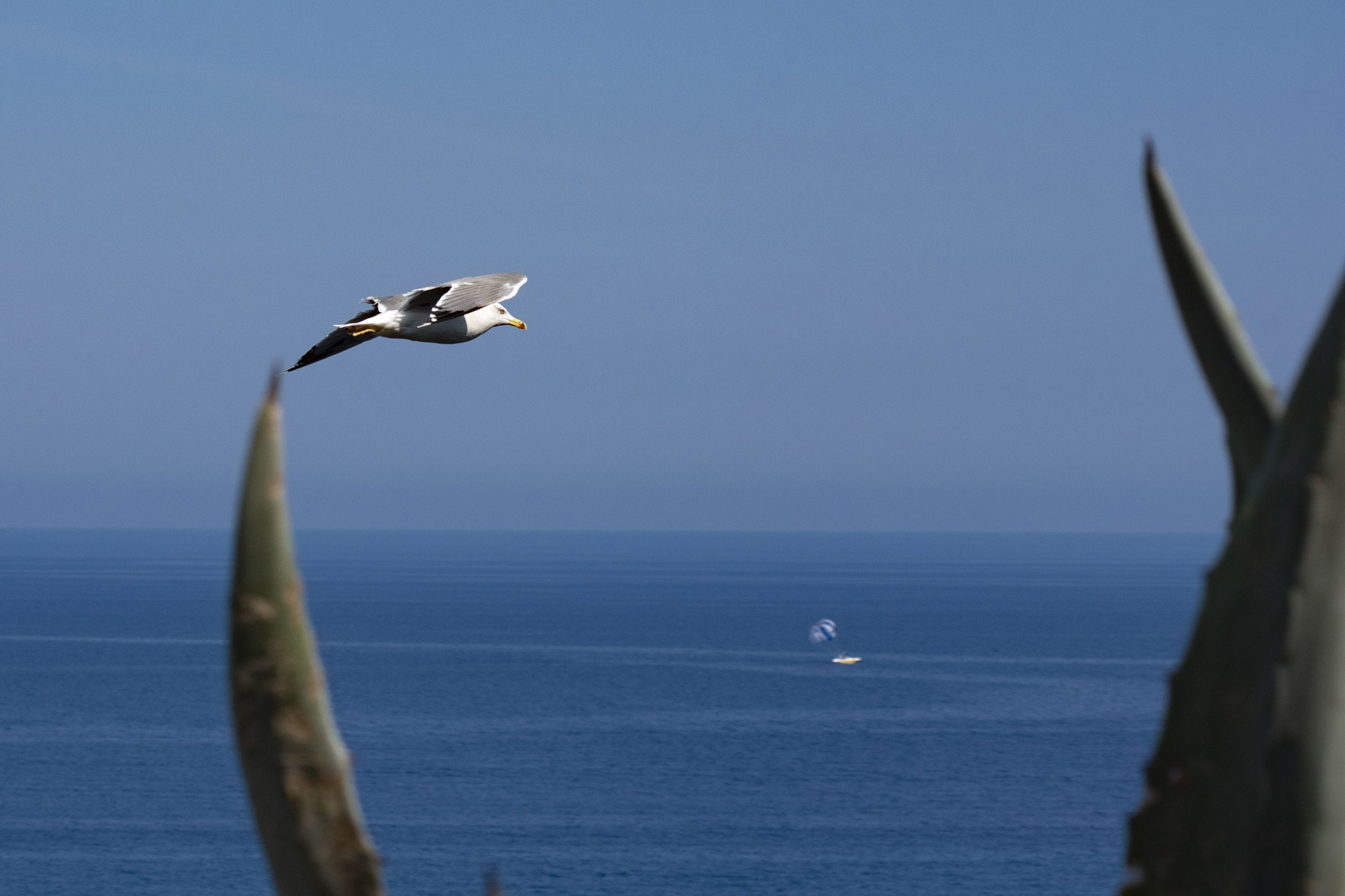 Foto - Poggio di Tropea