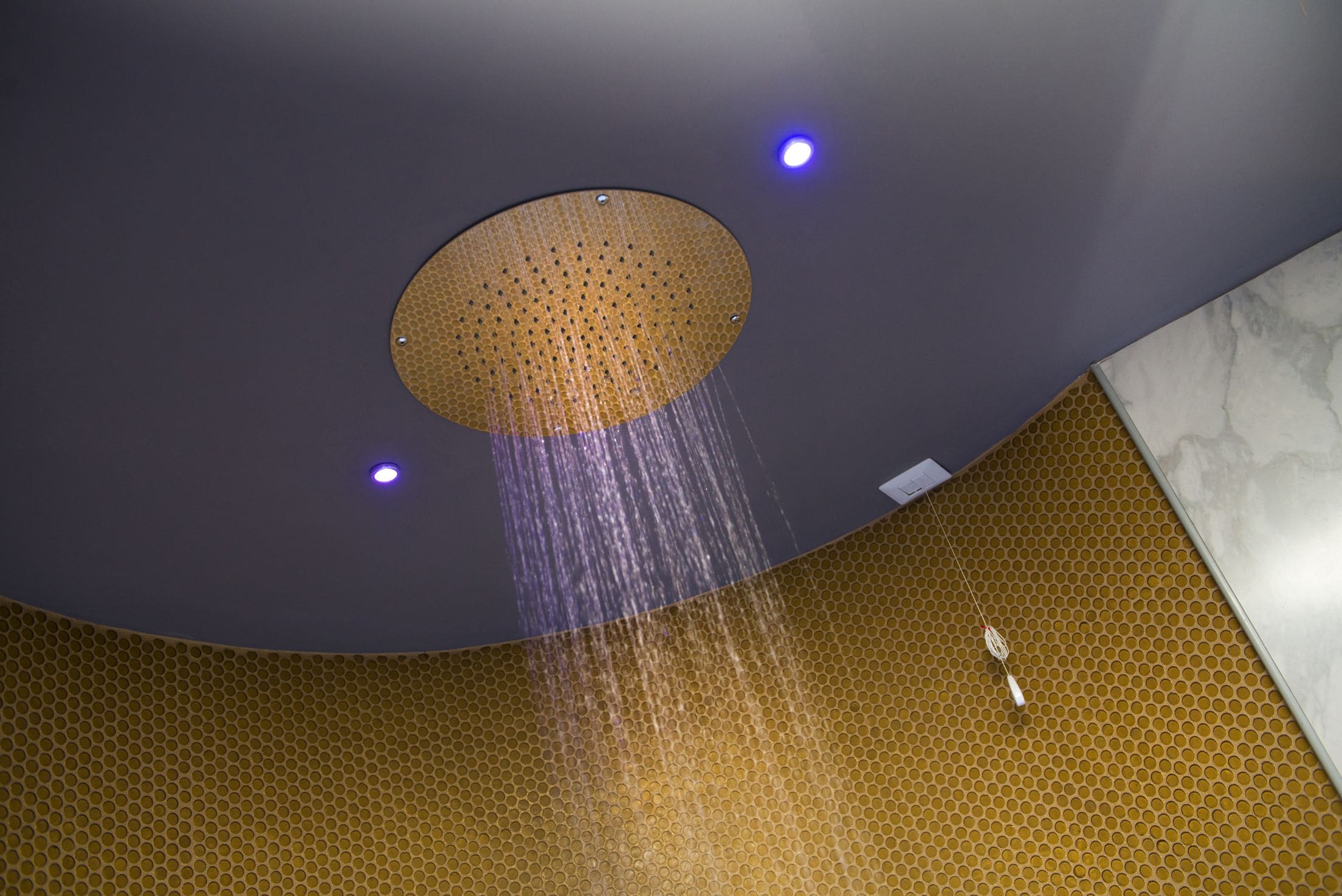 deluxe double room | bathroom shower