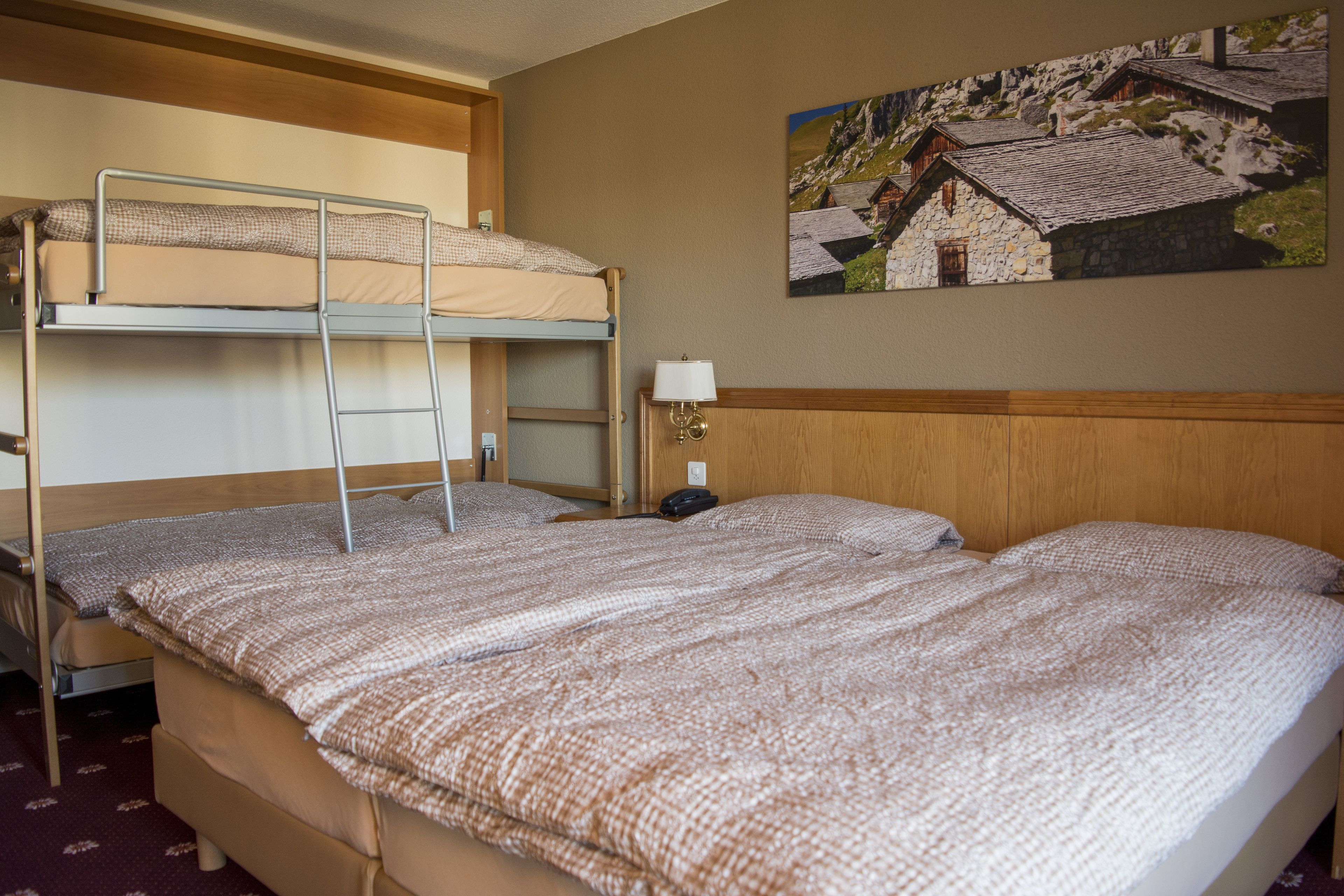 Foto - Alpine Classic Hotel