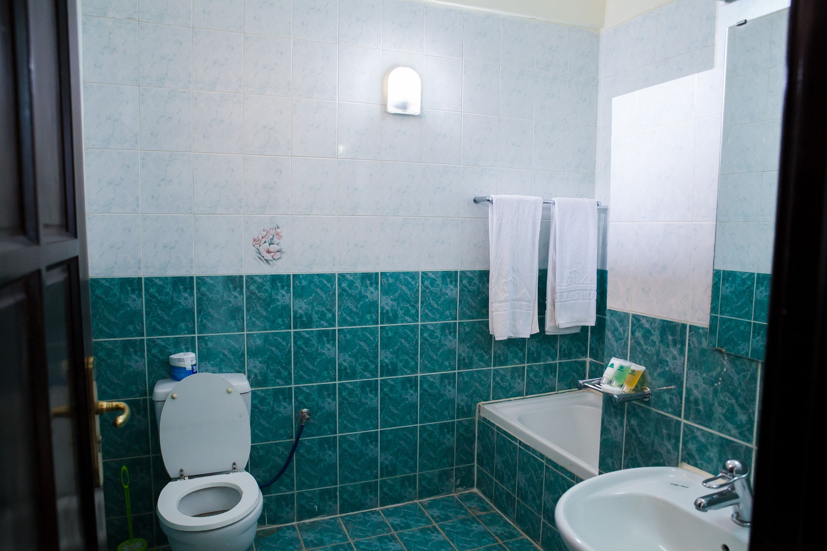 combined shower/bathtub, free toiletries, hair dryer, towels