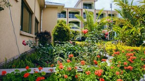 Un jardín con diversas plantas y flores frente a un edificio con varios balcones.
