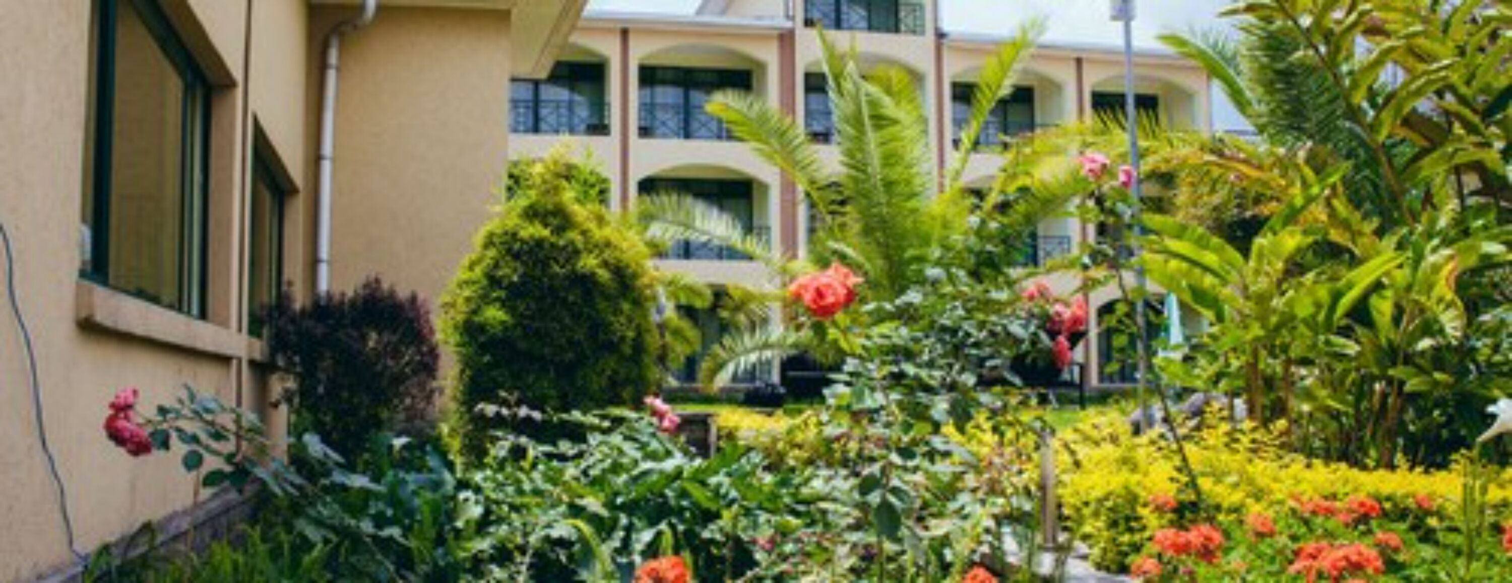 A building with a garden in front, featuring various plants and flowers.