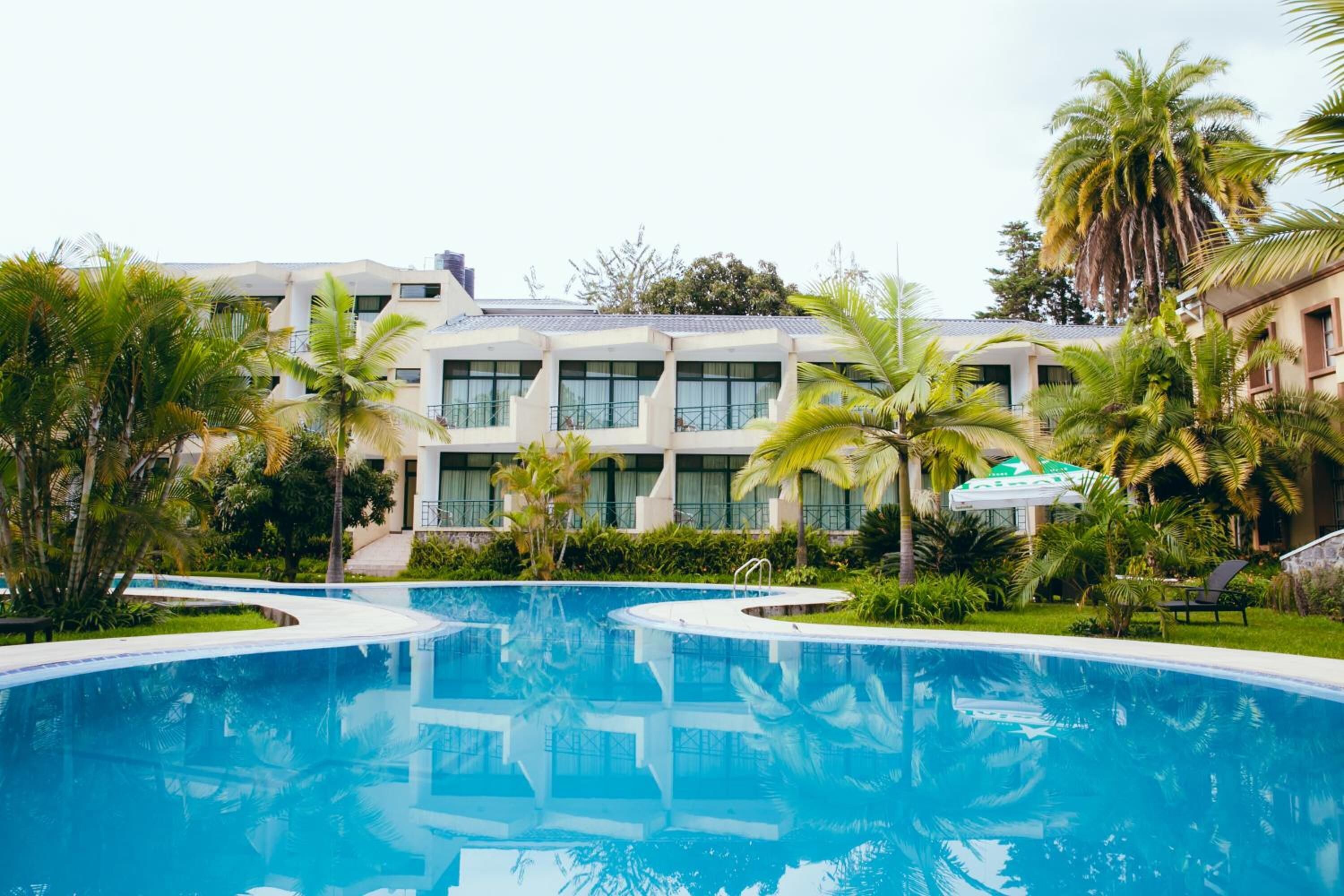 A swimming pool surrounded by palm trees and a building with multiple windows.