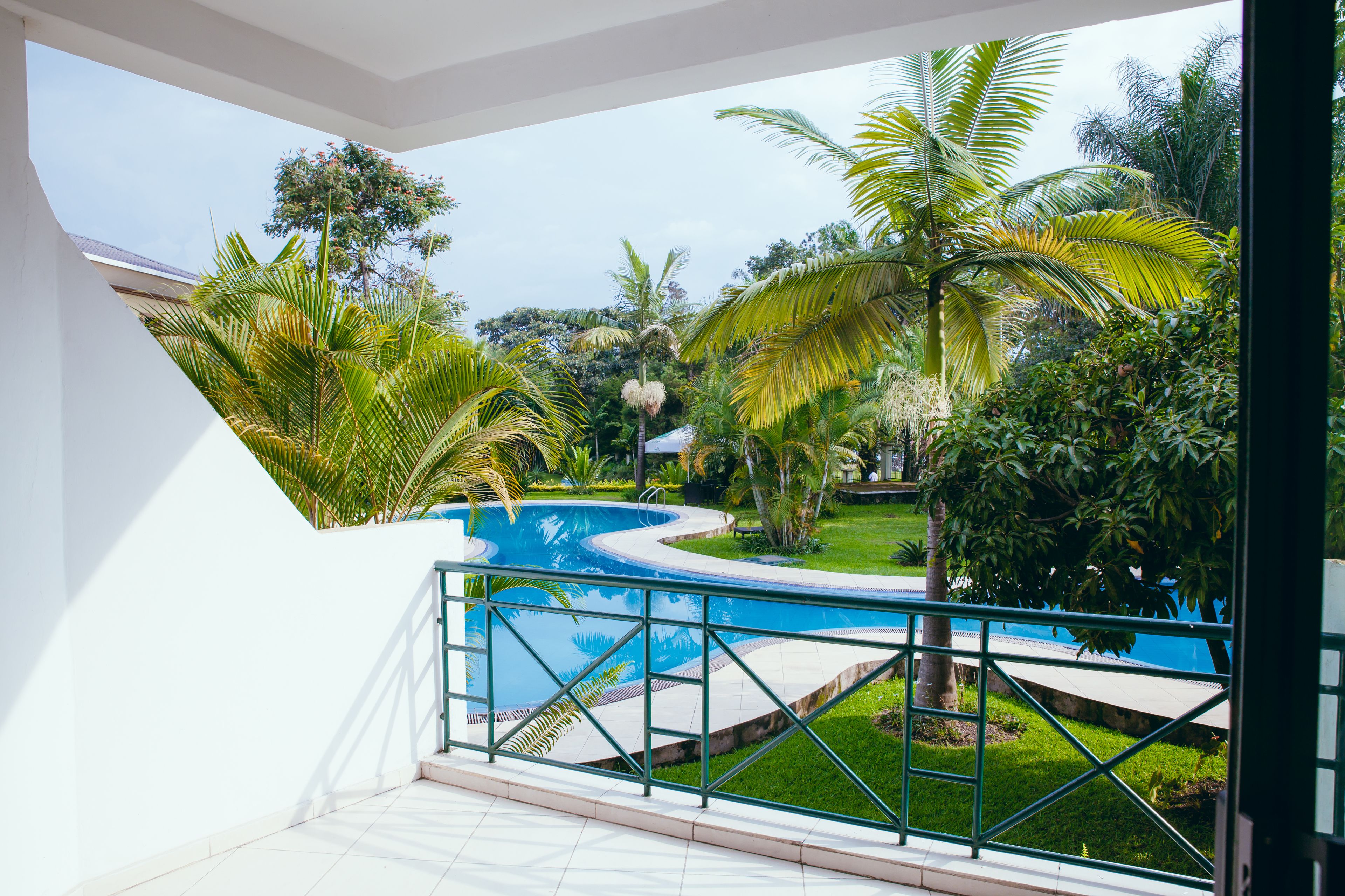 A pool area with a curved design, surrounded by lush greenery and palm trees.