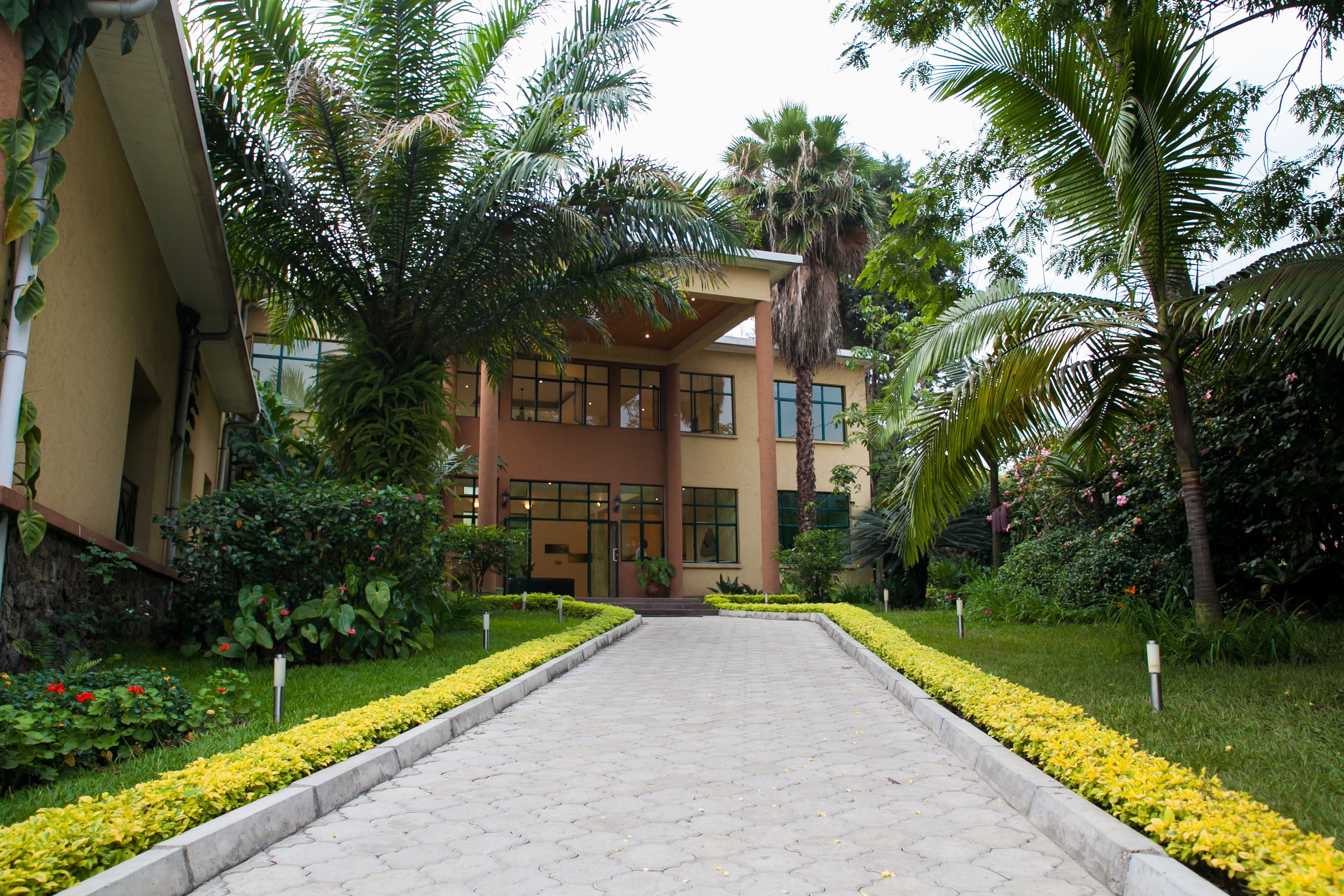 Un sendero conduce a un edificio de estilo arquitectónico moderno, rodeado de follaje cuidado y diversas plantas.