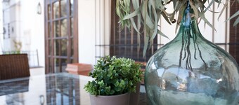 ON Acebuchal 23 - Only Adults