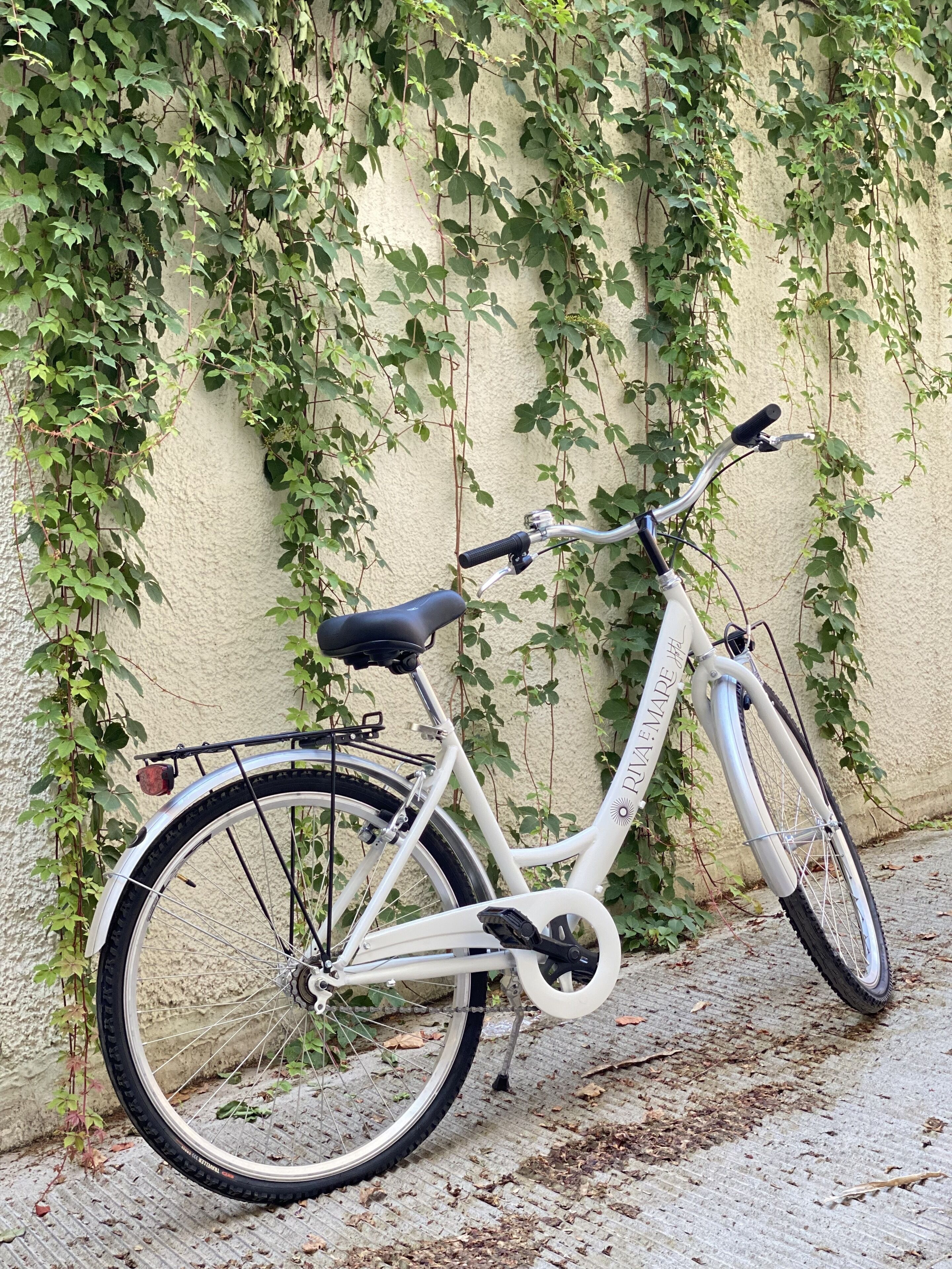 Foto - Hotel Riva e Mare