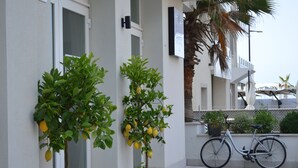 Un limonero en maceta y una bicicleta estacionada en un patio de baldosas, junto a un edificio blanco con balcón.