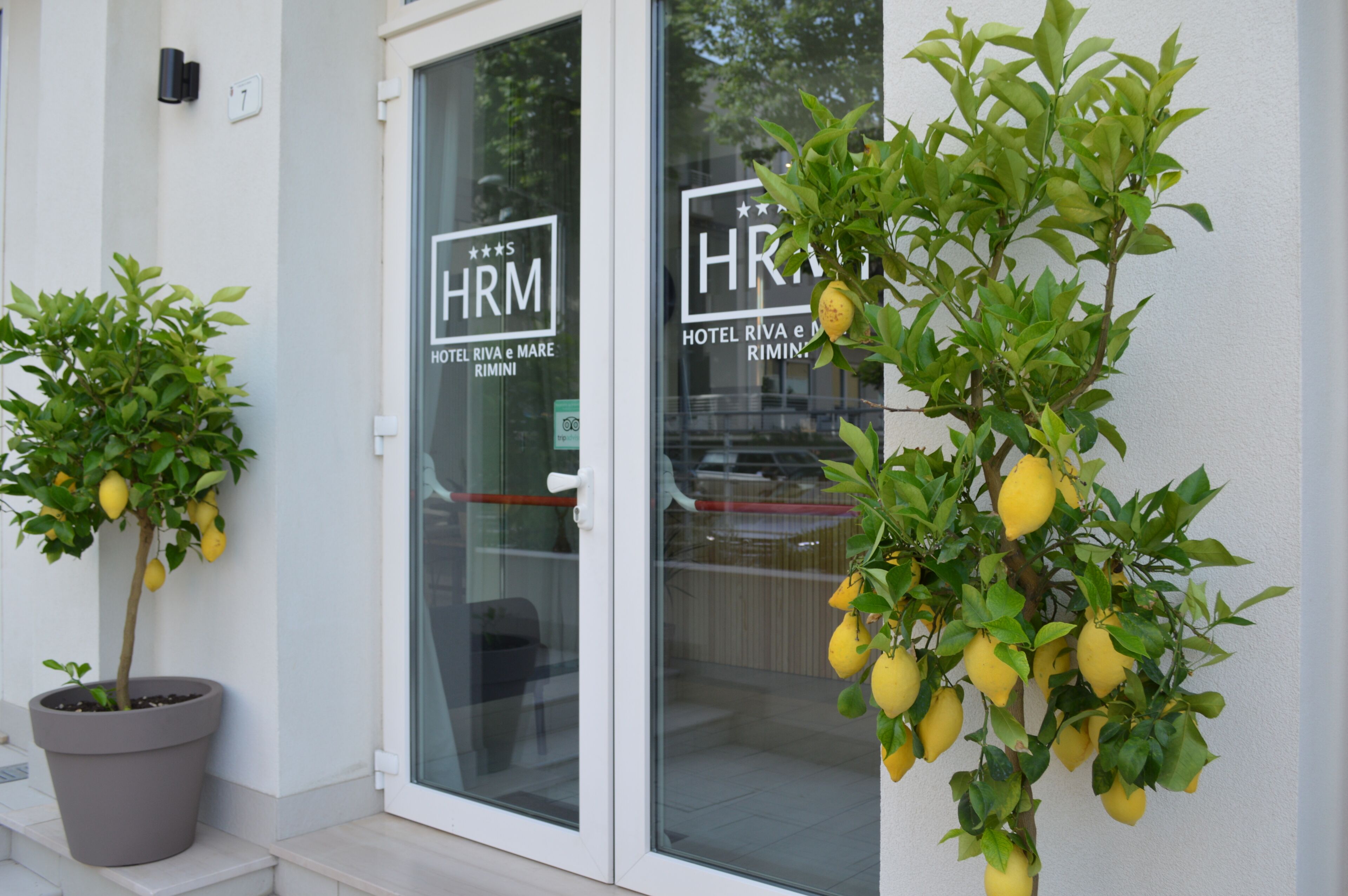 Foto - Hotel Riva e Mare