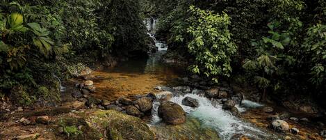 Rutas ecológicas