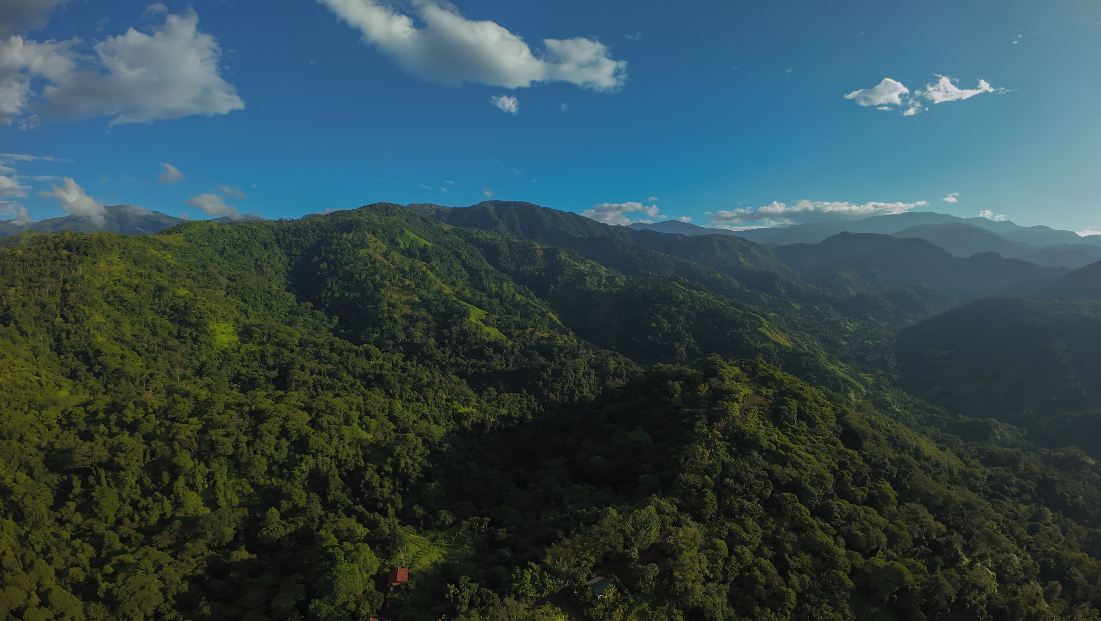 Vistas a la montaña
