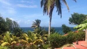 Un complexe hôtelier tropical avec des palmiers, une vue sur l’océan et des chaises longues rouges.