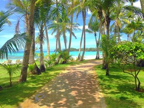 Un sentier pavé mène à une plage bordée de palmiers et dotée de chaises longues.