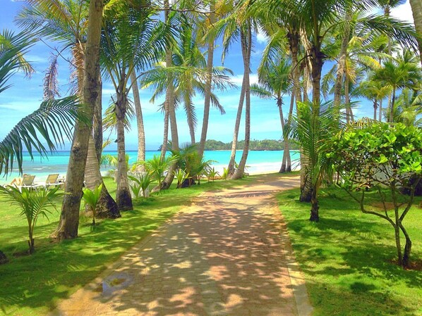 View from property - Hotel Punta Bonita (Las Terrenas)