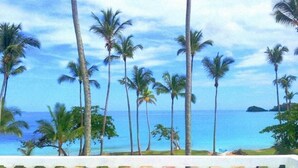 Une vue sur la côte, avec des palmiers et une balustrade blanche.