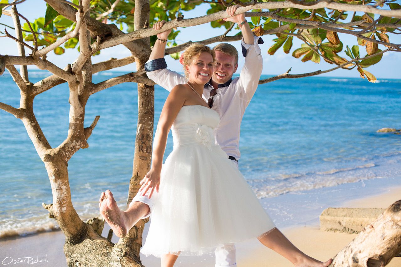 A wedding photo on a beach with a tree and ocean in the background.