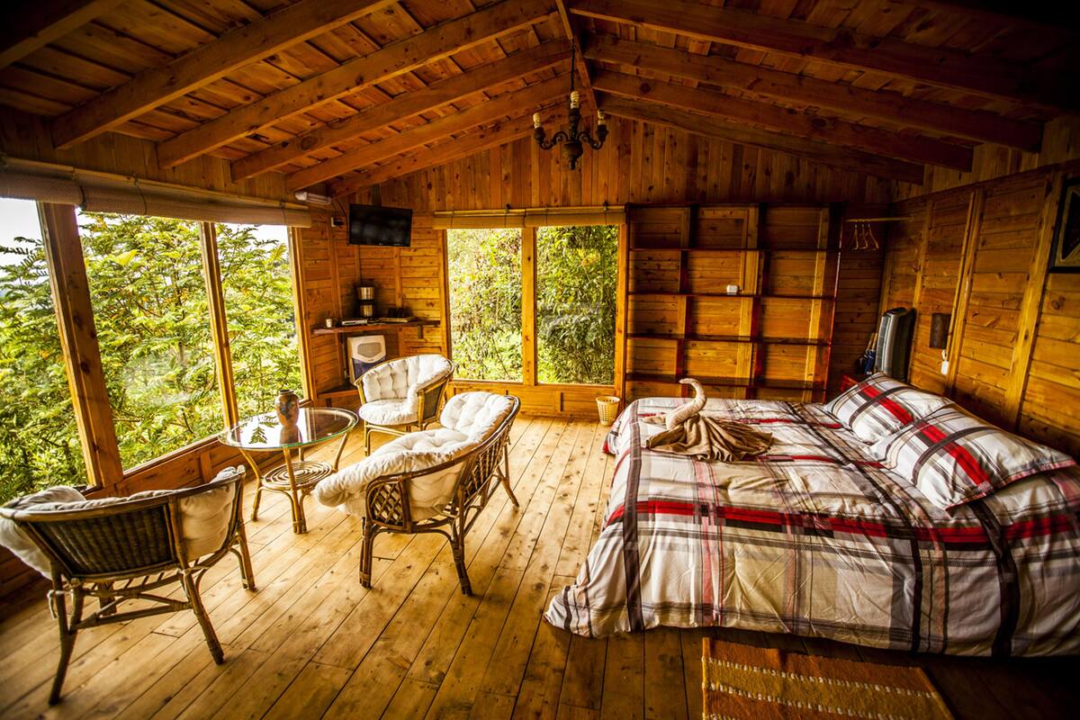 A wooden cabin with a bed, two chairs, a table, and a television.