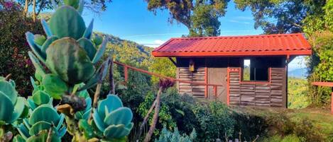 Una cabaña de madera pequeña con techo rojo, rodeada de abundante vegetación y árboles.